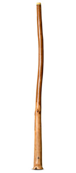 Wix Stix Didgeridoo (WS216)